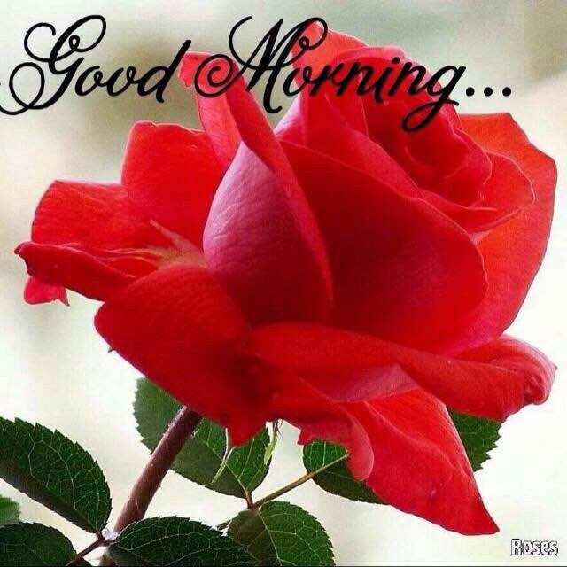 nand kishor chowdhury