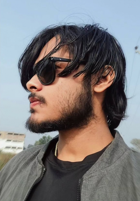AYUSH KUMAR MISHRA 