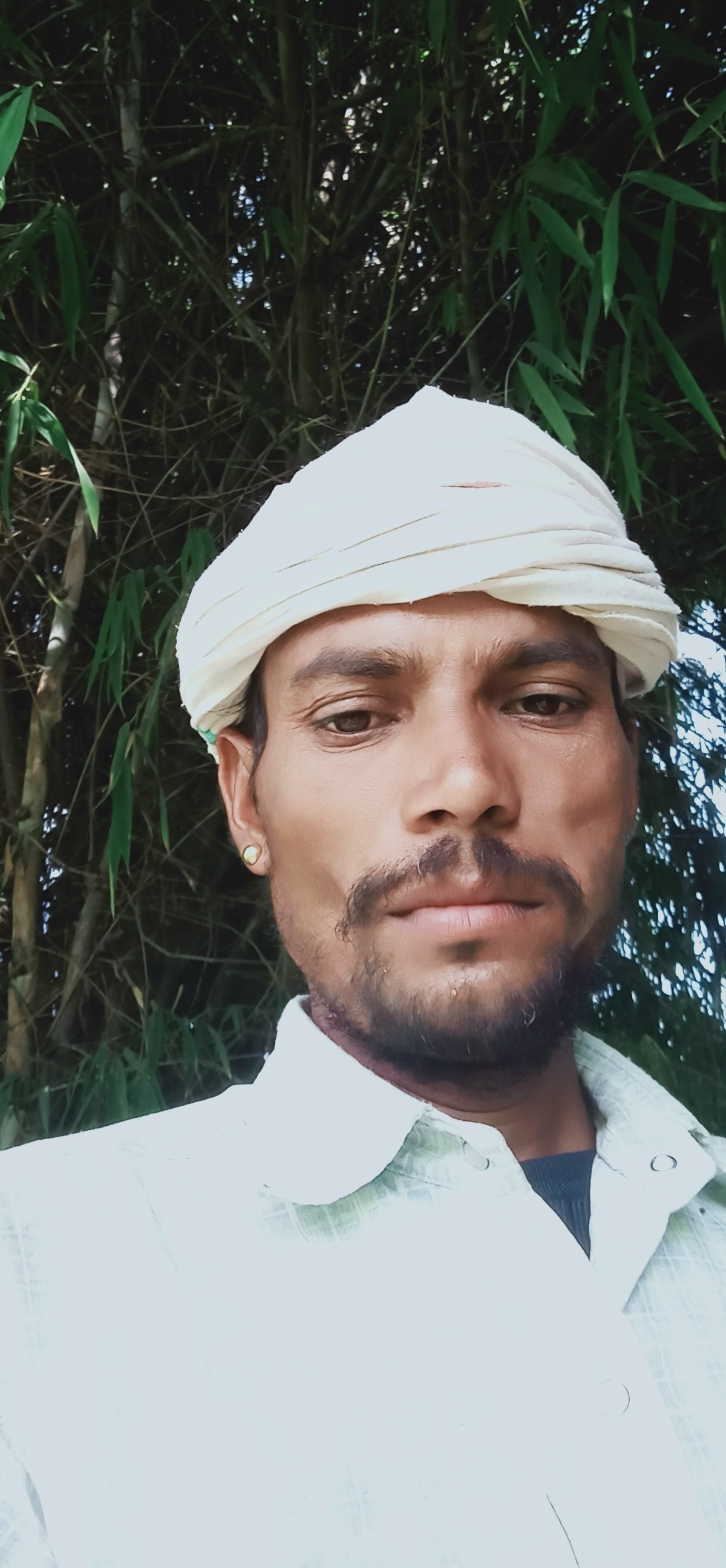 mohanlal solanki