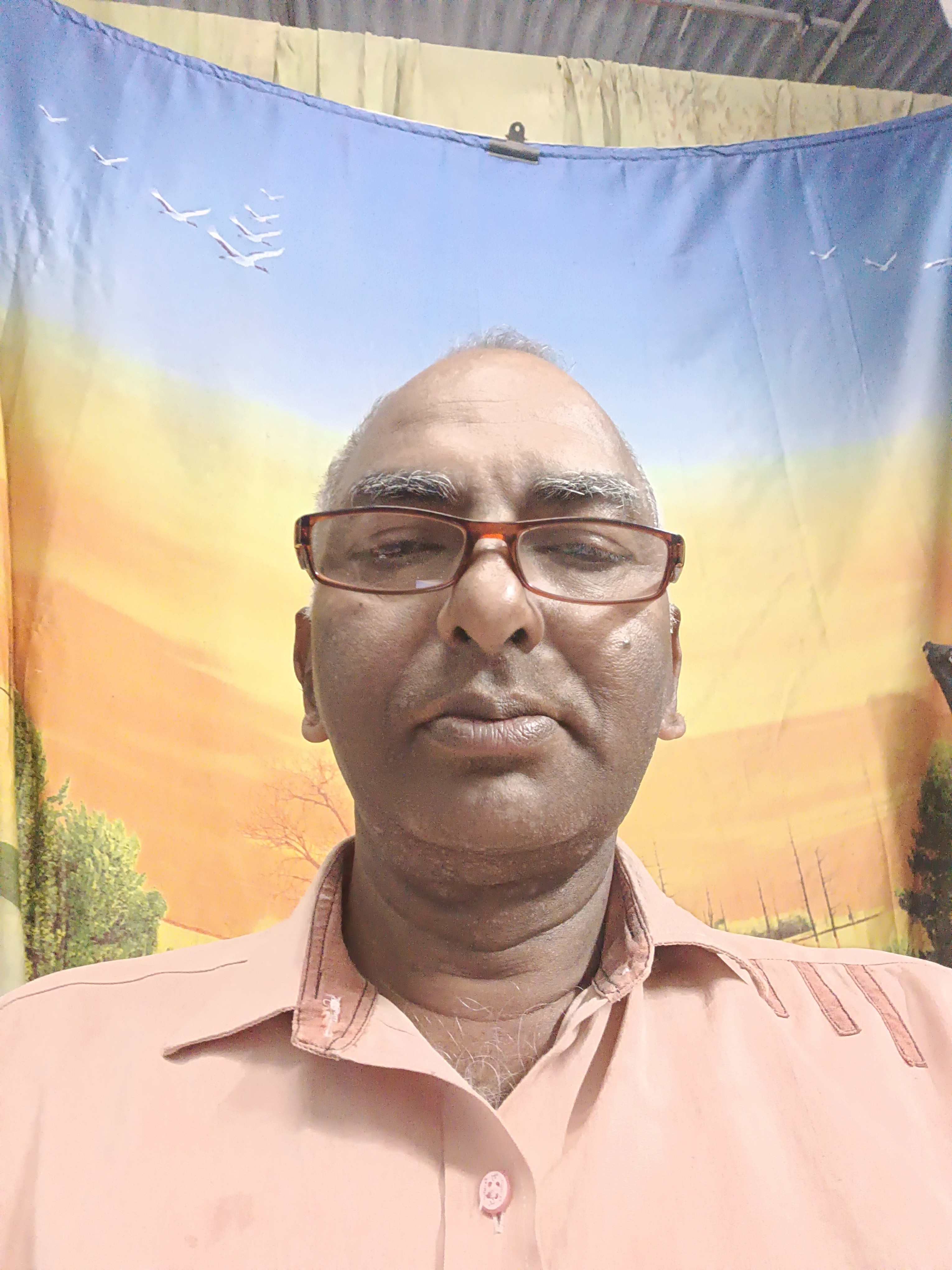 RAVI BHINGANIYA