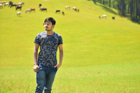 Mridul Roy