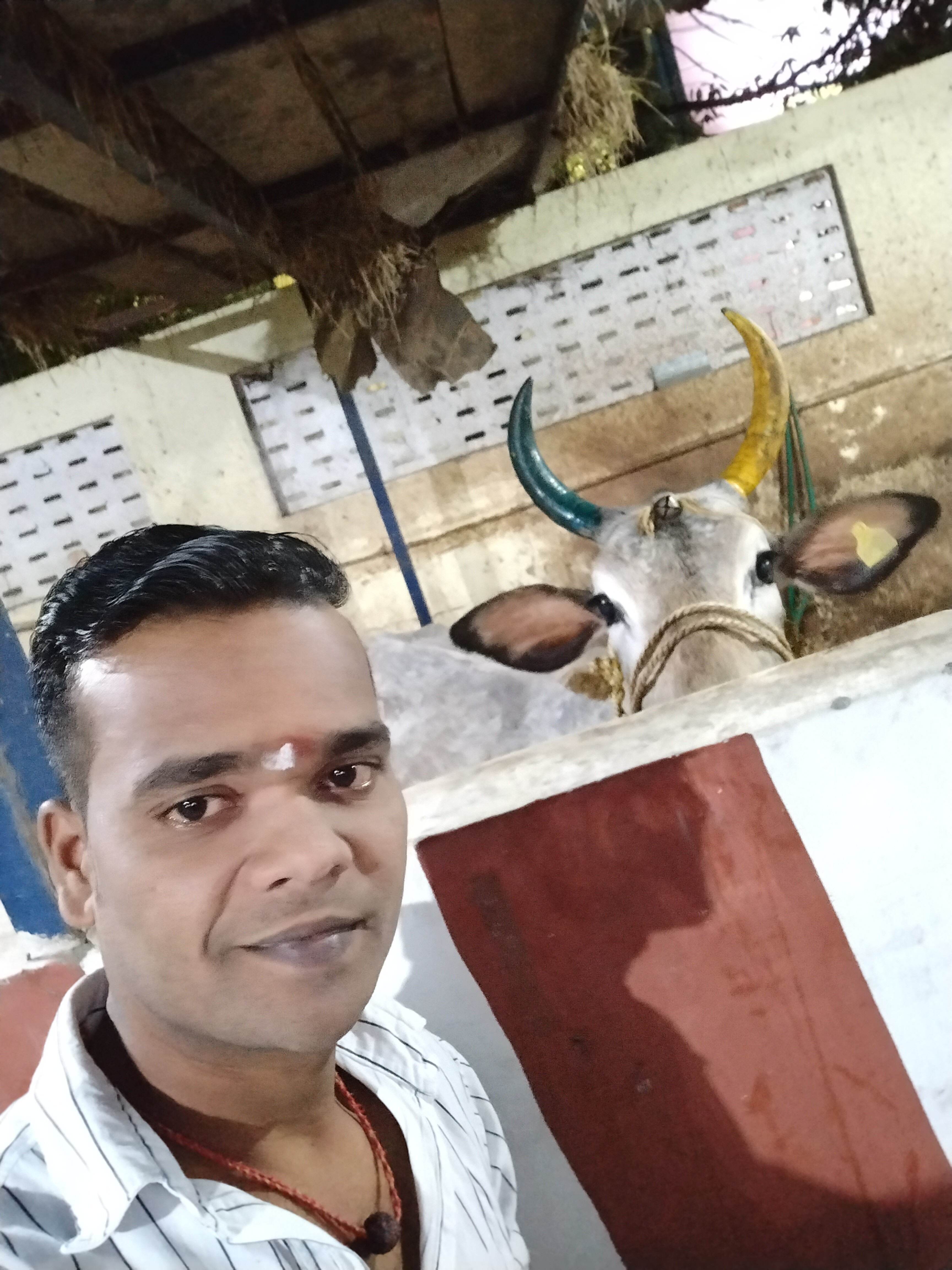 Kalu Maharana