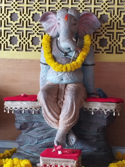 kalpesh solanki
