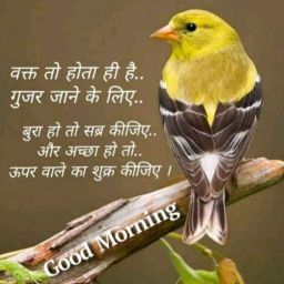 Kashish Gautam