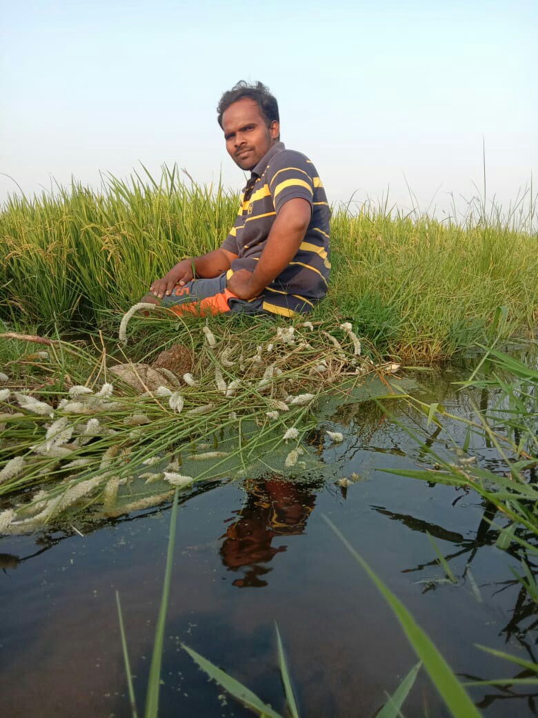 N Narendra