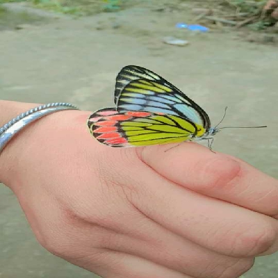 siddhidixit_7