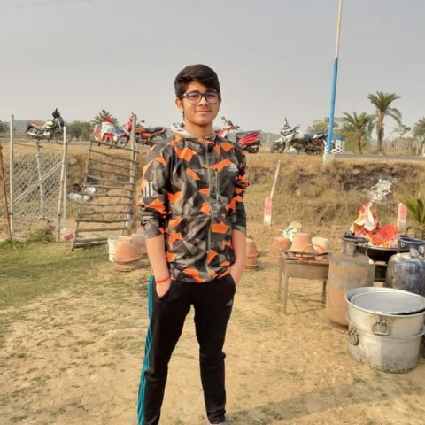 Swapnanilpal