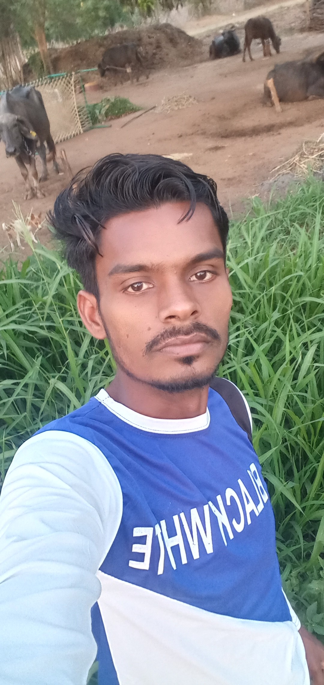 Dhiru sinh