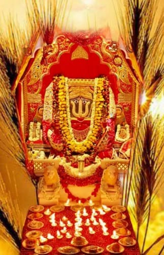 ANSHU AGARWAL