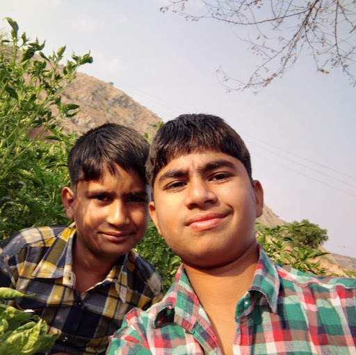 VIKRAMADITYA MEENA