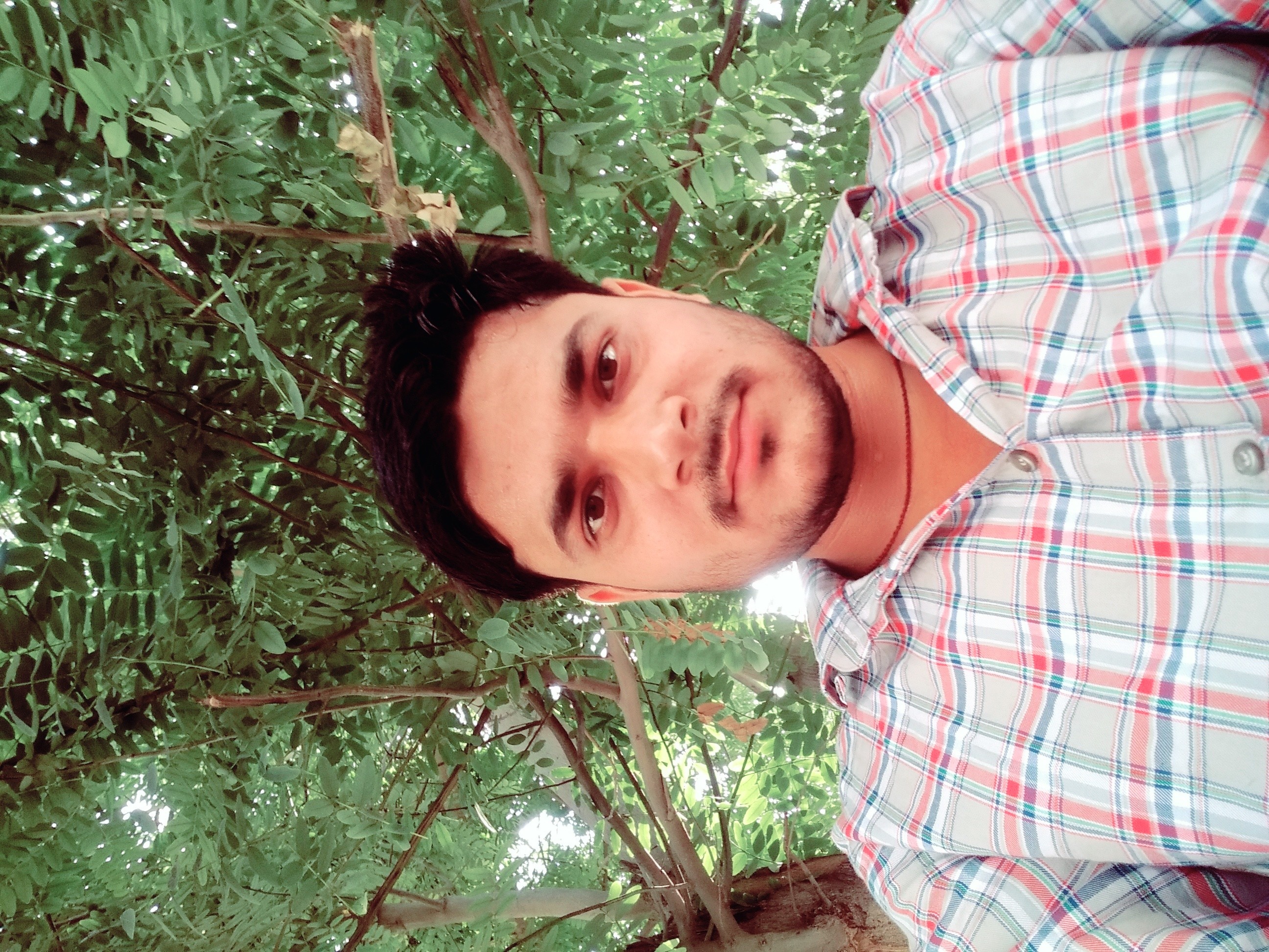 Praveen tewatia