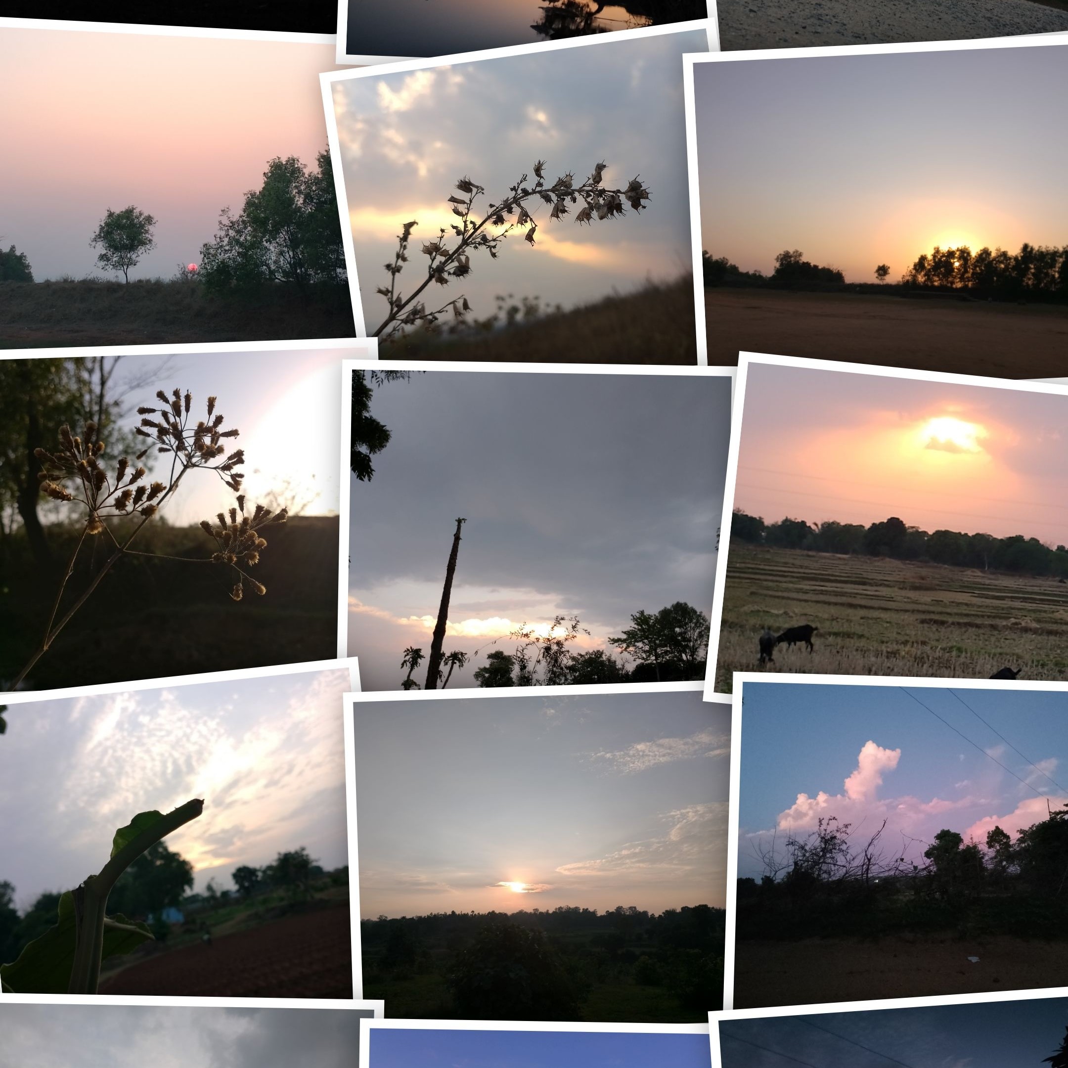 Umesh Munda