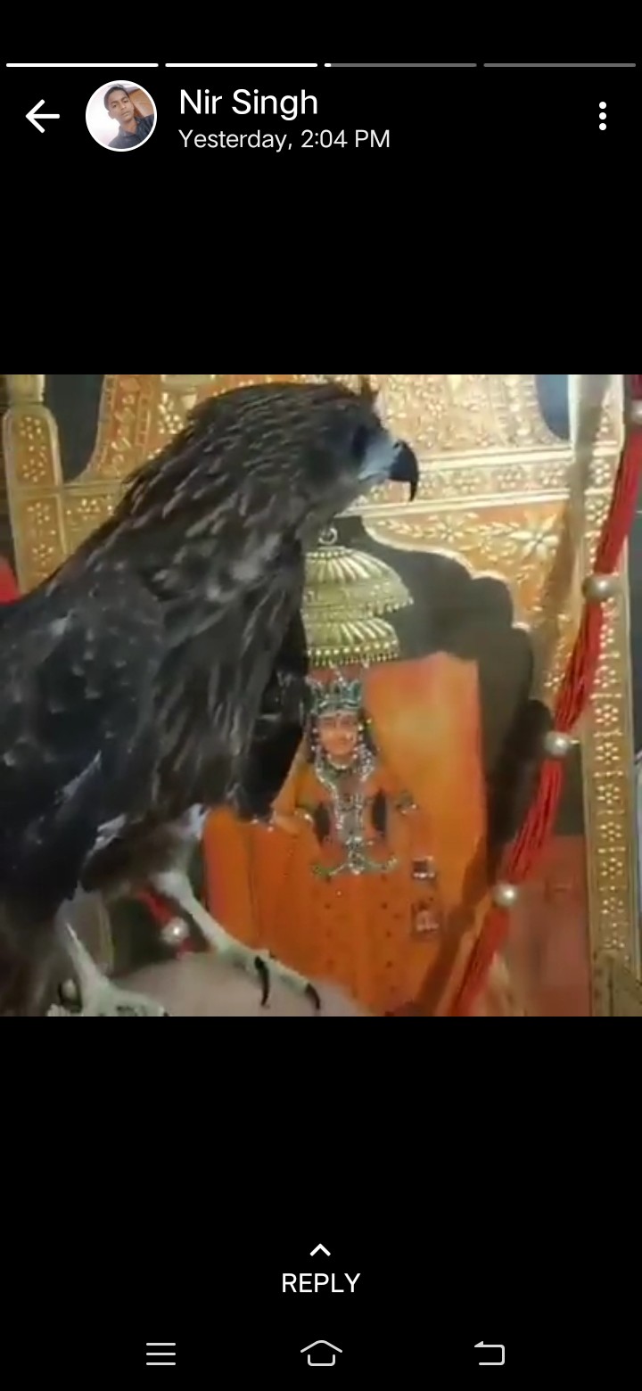 Rukman Kanwar Rathore