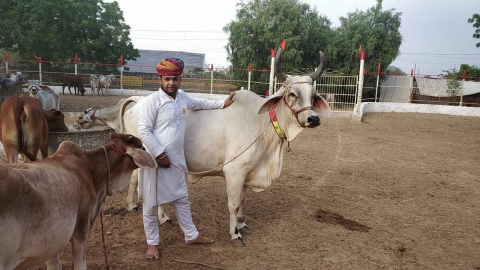 KuldeepGour