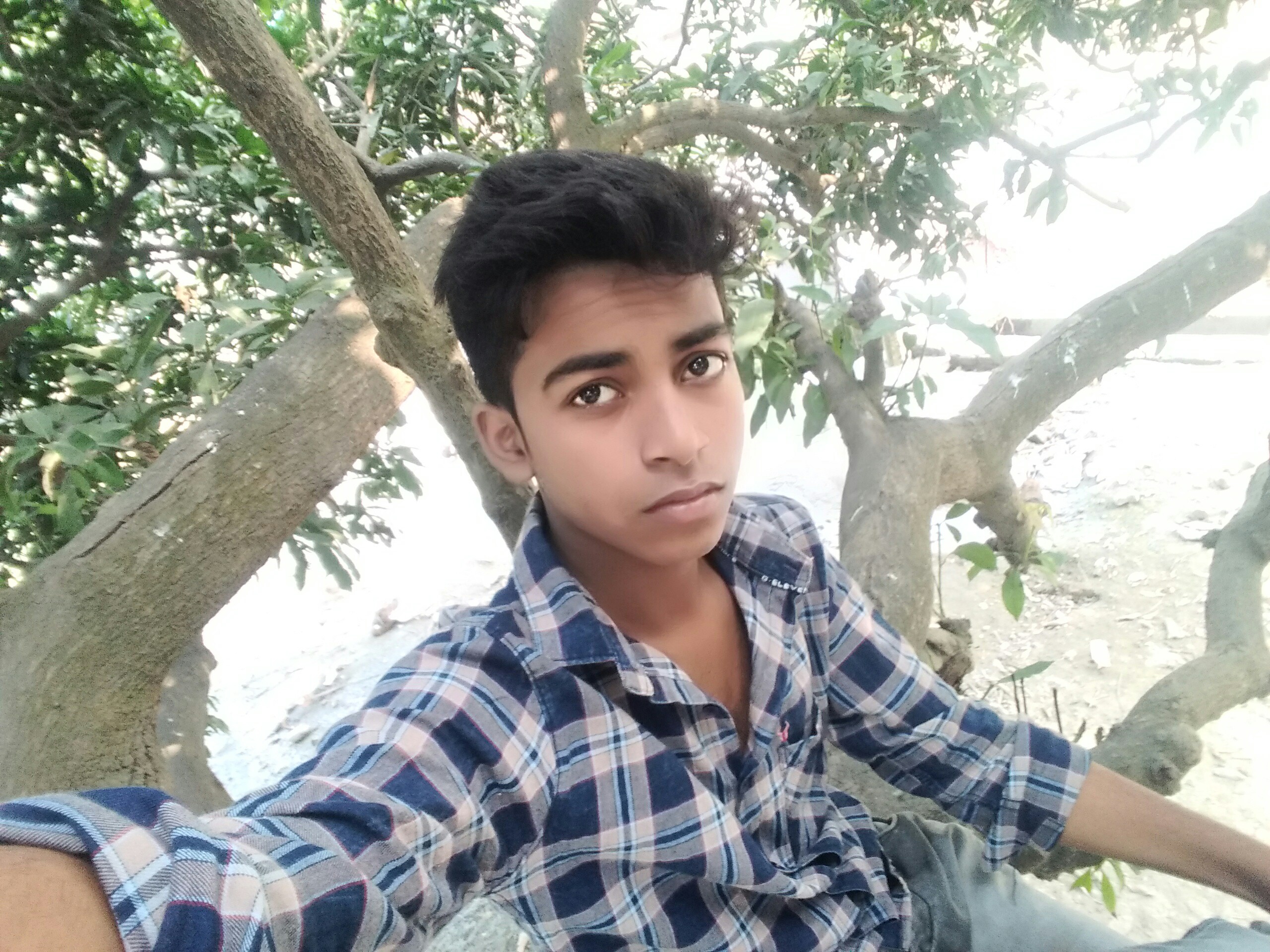 MAMUN SK